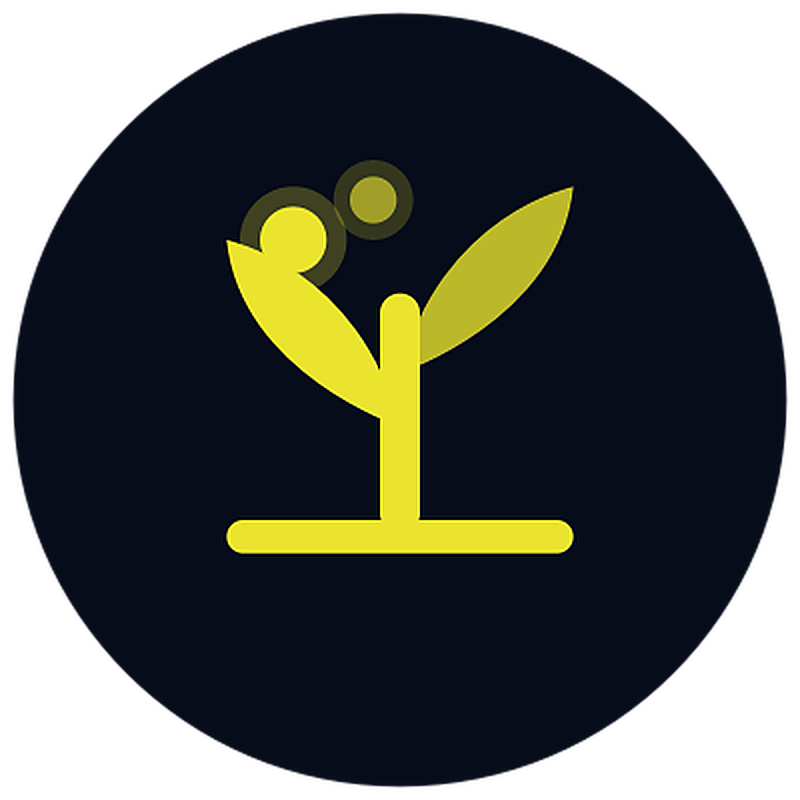 SBA Microloan Icon